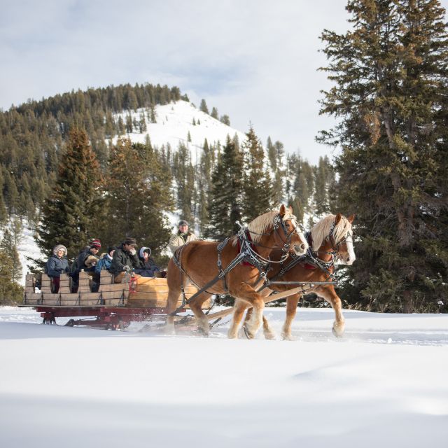 sleigh rides