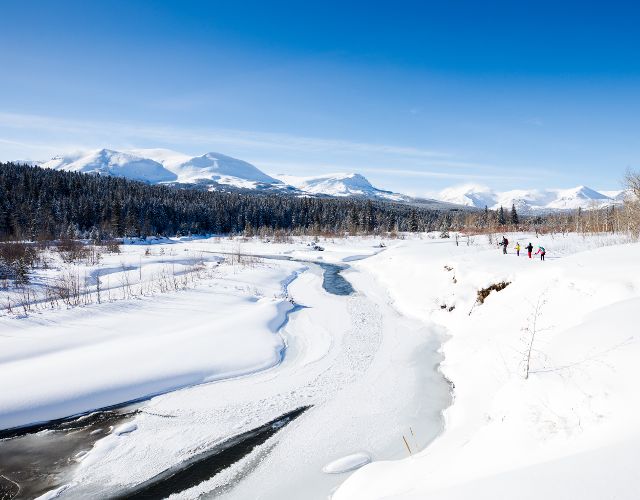 snowshoeing