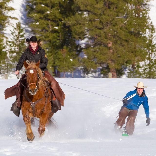 skijoring