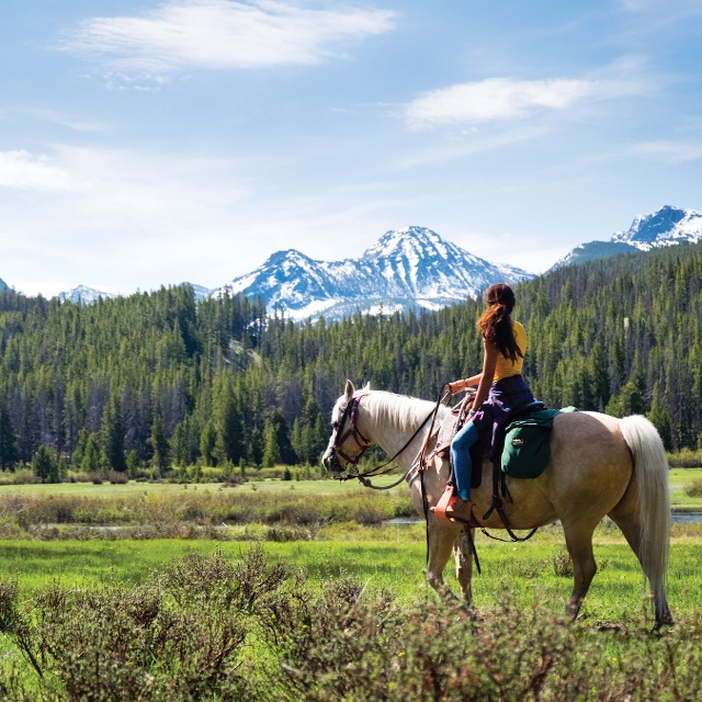 girl on a horse