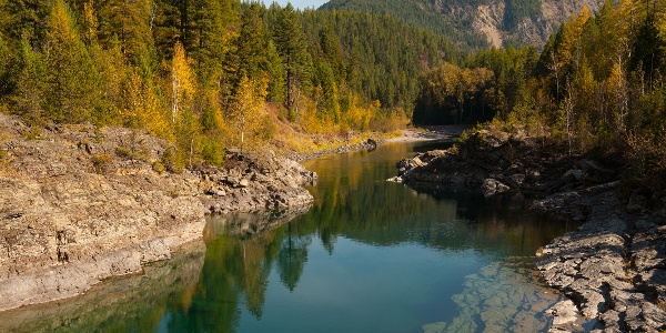 Flathead River