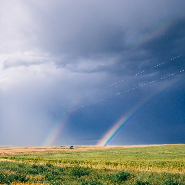 central montana