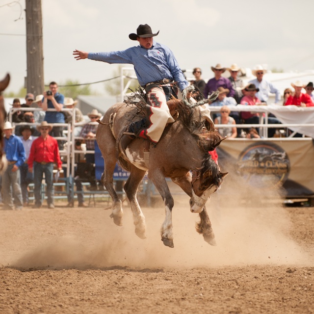 man riding bucking horse during rodeo
