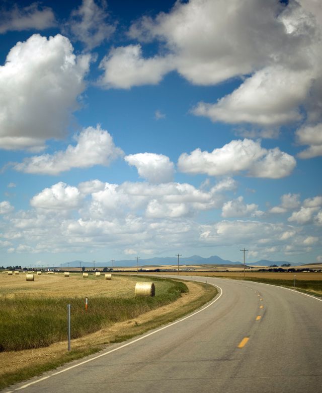 Hay bales along HWY 81, near Denton