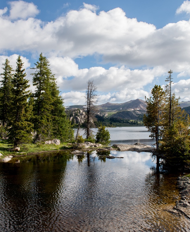 View of a mountain lake and pine trees View from the Beartooth Highway