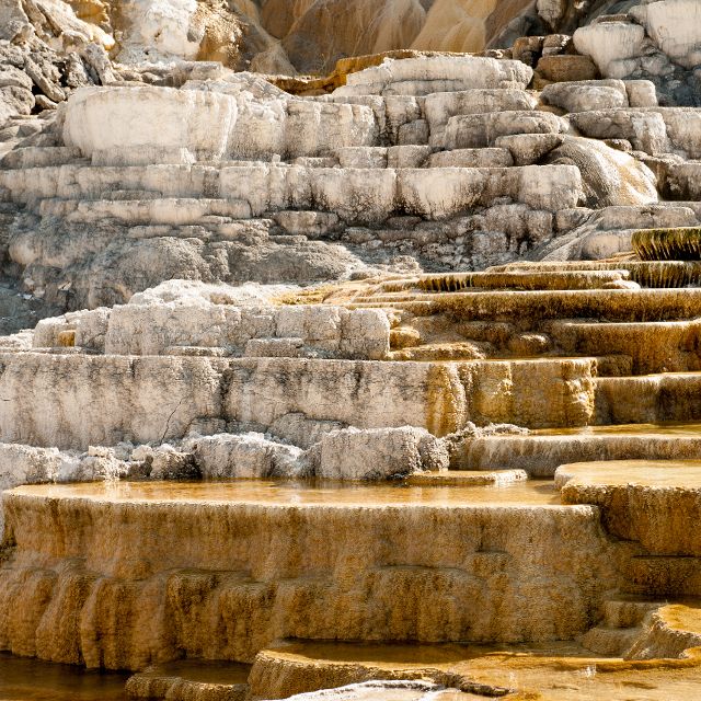 Mammoth Hot Springs