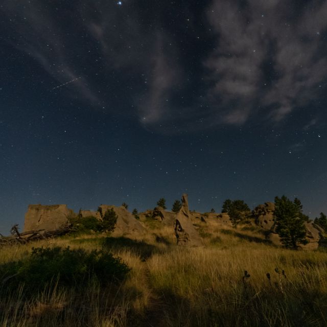 Montana night sky