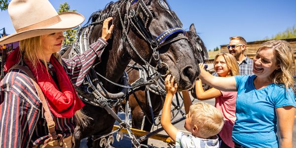 kids pet horse in Virginia City