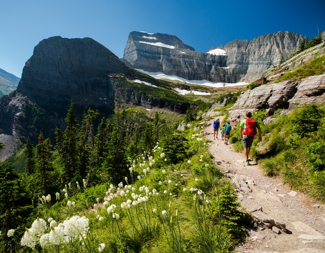 Glacier national on sale park canada hikes