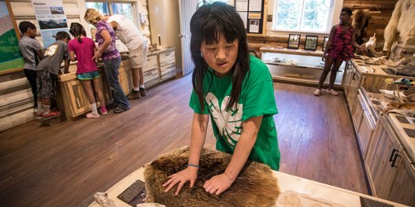 Child feeling pelts at visitor center