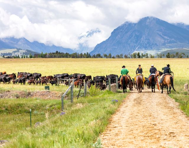 Yellowstone Country ranch