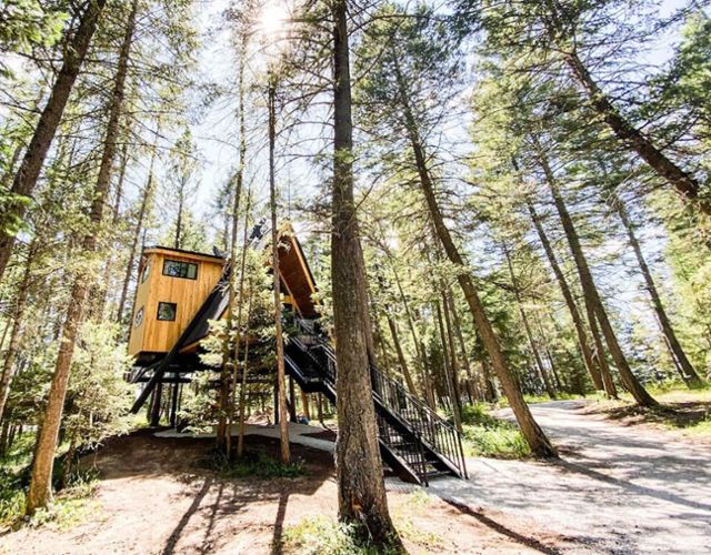 Montana Treehouse