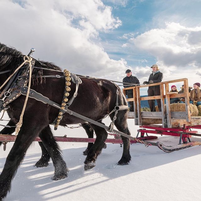 Horse drawn Sleigh Rides in Seeley Lake