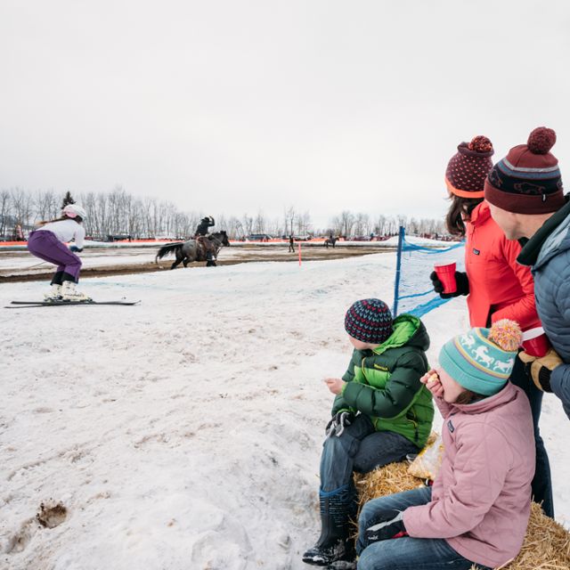 Skijoring