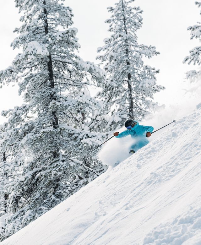 Powder skiing