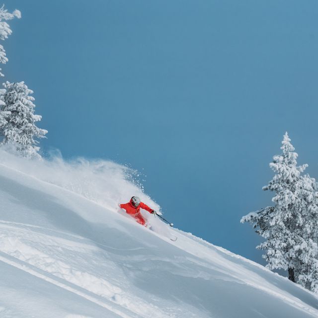 Skier skiing through powder