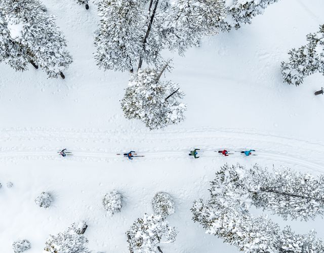 Aerial cross country skiing