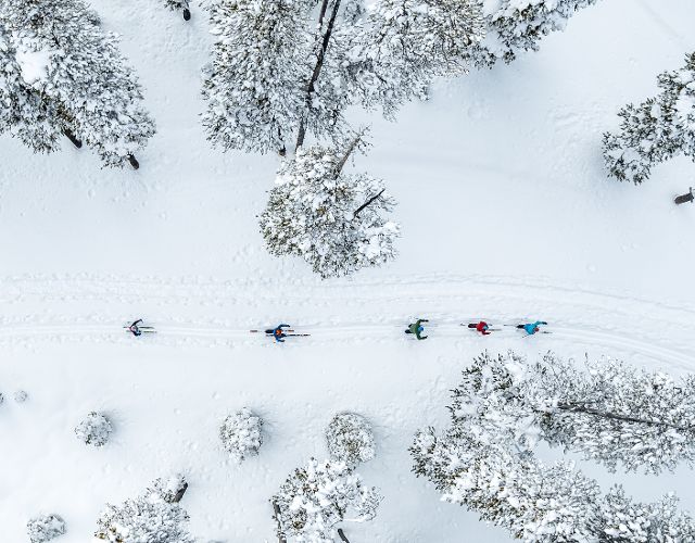 Nordic Skiing