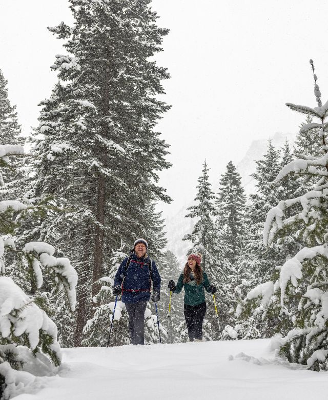 Snowshoeing Blodgett Canyon