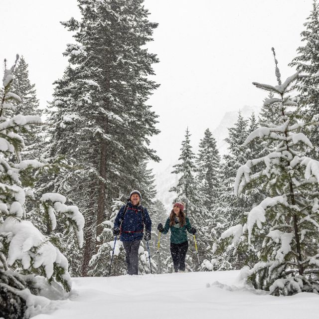 Snowshoeing Blodgett Canyon